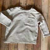 Subtle Dino Long Sleeve | Telluride Clothing Company