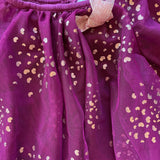 Fancy Purple Dress | Nannette