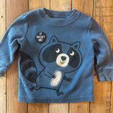 Raccoon "It Wasn't Me" Sweatshirt | 9-12 | Jumping Beans