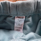 Light Blue Dino Shorts | Pekkle