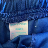 Blue Athletic Shorts | Garanimals