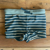 European Vacation Swim Trunks | Little Planet