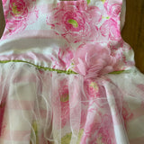 Spring Dressy Dress | Lilt