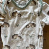 Hedgehog Onesie | 0-3 mo | Kyte Baby