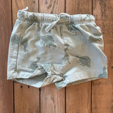 Dinosaur Shorts | 3-6 mo | H&M