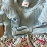 Little Bunny Dress | 3-6 mo