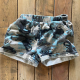Dino Shorts | 12-18 mo