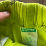 Green Dino Shorts | 9-12 mo | Garanimals