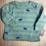 Subtle Dinosaur Long Sleeve | Carter's