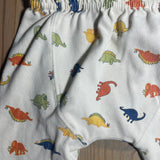 Dino Pants | GM