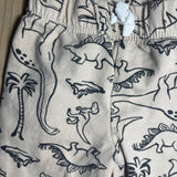 Casual Dinosaur Joggers | Carter's