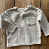 Subtle Dino Long Sleeve | 12-18 mo | Telluride Clothing co