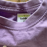 Big Sister Short Sleeve Tee | Unordinary Toddler