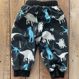 Dinosaur Pants | Unbranded
