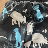 Dinosaur Pants | Unbranded