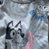 Bluey Pajama Set | 4T