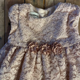 Pink Lace Dress | 12-18 mo