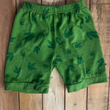 Green Dino Shorts | 12-18 mo