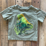 Dinosaur T-Shirt | The Children's Place