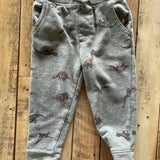 Dino Pants | Garanimals