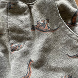 Dino Pants | Garanimals