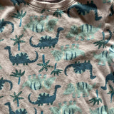 Dinosaur Shirt | 5T | Old Navy