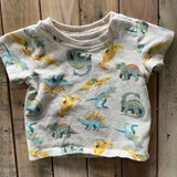 Dino Tee | Wonder Nation