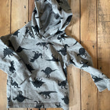 Gray Dinosaur Hoodie | 12-18 mo | Garanimals