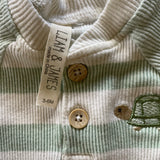 Striped Turtle Set | Liam and James