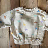 Dinosaur Crewneck | 3-6 mo | Cat & Jack