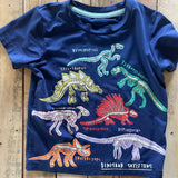 Dino Swim Shirt