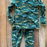 Dino Pajamas | Cat & Jack