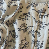 Dinosaur Long Sleeve | 18-24 mo | First Impressions