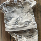 Dino Island Set | 0-3 mo | Carter's