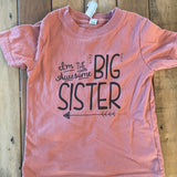 I am the Awesome Big Sister Shirt | 2T