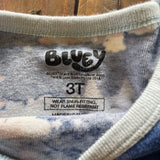 Bluey Pajama Set | 3T