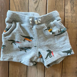 Gray Dino Shorts | 9-12 mo | Carter's
